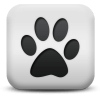 Captcha image 9095